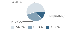 Calumet Baptist Schools Student Race Distribution