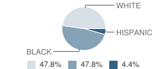 Holy Cross School Student Race Distribution