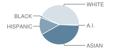 All Saints Catholic Elementary School Student Race Distribution