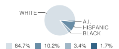 Bishop Seabury Academy Student Race Distribution