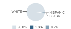 Holy Trinity Catholic School Student Race Distribution