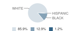 Lakemary Center School Student Race Distribution