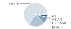 Open Door Christian School Student Race Distribution