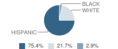 Our Lady of Unity School Student Race Distribution