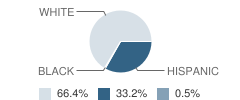 St Jude Catholic School Student Race Distribution