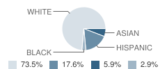 St Patrick Catholic School Student Race Distribution