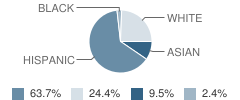 St Patrick Elementary School Student Race Distribution