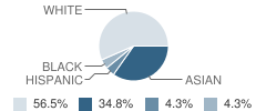 Christ Church School Student Race Distribution