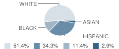 Lexington Junior Academy Student Race Distribution