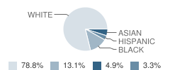 North Hardin Christian School Student Race Distribution