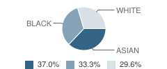 Nan-Nur Islamic School Student Race Distribution