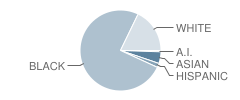 Oneida Baptist Institute School Student Race Distribution