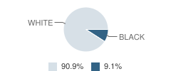 Owensboro Christian Academy Student Race Distribution