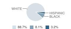 On Fire Christian Academy Student Race Distribution