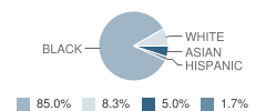 Bishop Mcmanus Academy Student Race Distribution