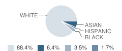 Briarfield Academy Student Race Distribution