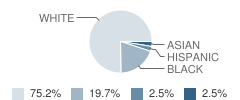 Evangel Christian Academy Student Race Distribution