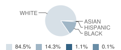 Opelousas Catholic School Student Race Distribution