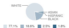 St Charles Catholic High School Student Race Distribution