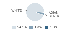St Genevieve Elementary School Student Race Distribution