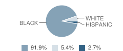 Cathedral Academy Student Race Distribution