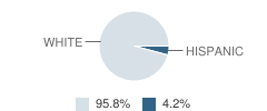 Providence Classical Academy Student Race Distribution