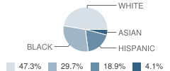 Brandon Residential Treatment School Student Race Distribution