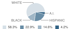 Brightside School Student Race Distribution