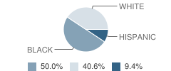 Cottage Hill Academy Student Race Distribution