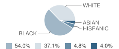 Delphi Academy Student Race Distribution