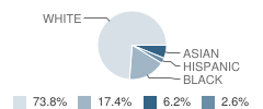 Fontbonne Academy Student Race Distribution