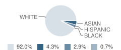 Greenfield Center School Student Race Distribution