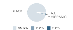 Mary Mcleod Bethune Institute School Student Race Distribution