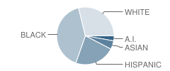 Nativity Preparatory School of New Bedford Student Race Distribution