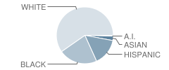 Nazarene Christian Academy Student Race Distribution