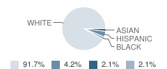 Odyssey Day School Student Race Distribution