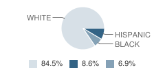 Seton Academy Student Race Distribution