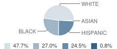 South Lancaster Academy & Browning Elementary Student Race Distribution