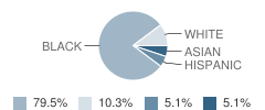 South Shore School Student Race Distribution