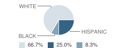 Southbridge Christian Academy Student Race Distribution