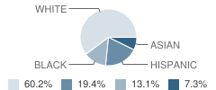 St Anthony Elementary School Student Race Distribution