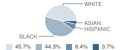 St Catherine of Genoa School Student Race Distribution