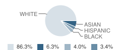 St Mark Middle School Student Race Distribution