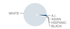 St Mary of the Annunciation School Student Race Distribution