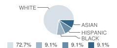 The Kathy Herwood Child Care Center Inc School Student Race Distribution