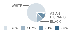 Walker Home and School Student Race Distribution