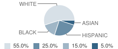 Wayside Academy Student Race Distribution