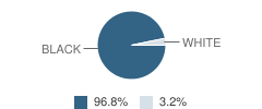 South Shore Christian School Student Race Distribution