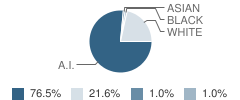 Rcs Learning Center School Student Race Distribution