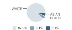 Montessori Schools of Sandwich Student Race Distribution